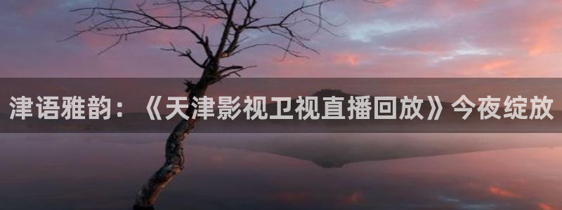 星海之外定档海报