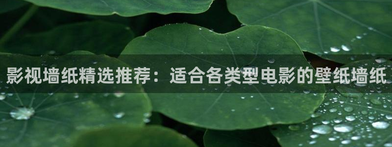 星海之外定档海报