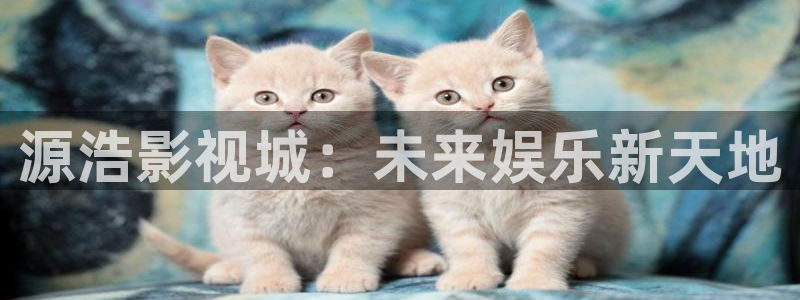 星海之外定档海报