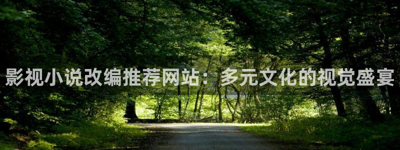 星海之外定档海报