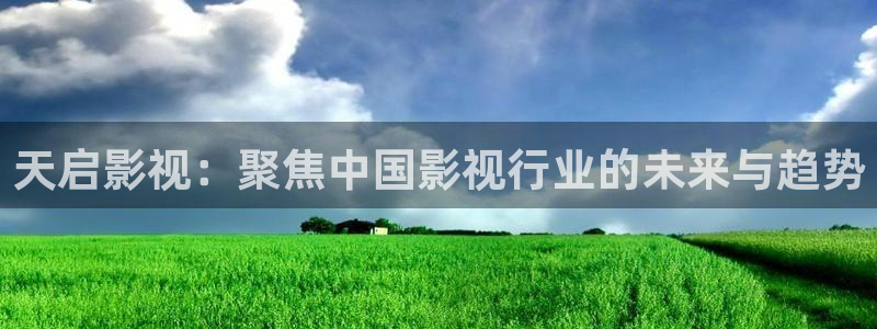 星海之外定档海报